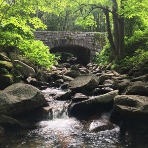 Meet your Posher, Courtney